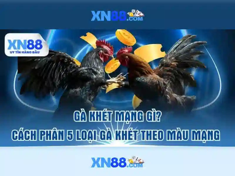 Trải nghiệm người dùng