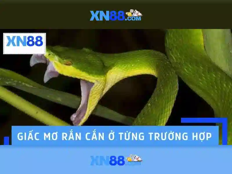 XN88: Khái niệm, tính năng và cơ hội