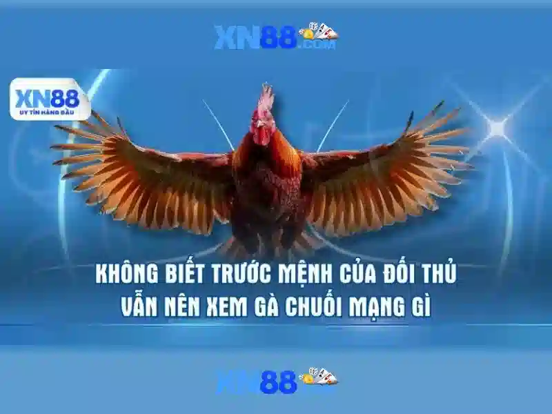 Giới thiệu xn88 Giới thiệu xn88