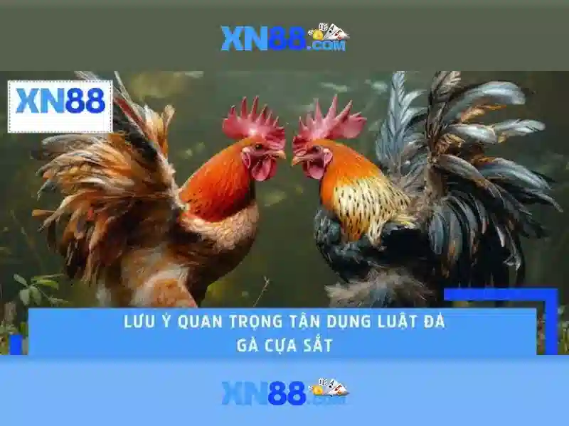 Danh mục trò chơi và trải nghiệm người chơi Danh mục trò chơi và trải nghiệm người chơi