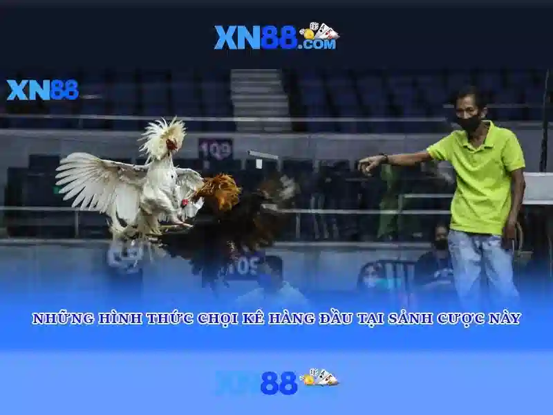 xn88: Khám phá nền tảng cá cược trực tuyến uy tín