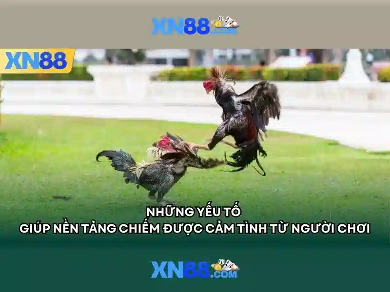 xn88: Nền tảng cá cược trực tuyến và đánh giá