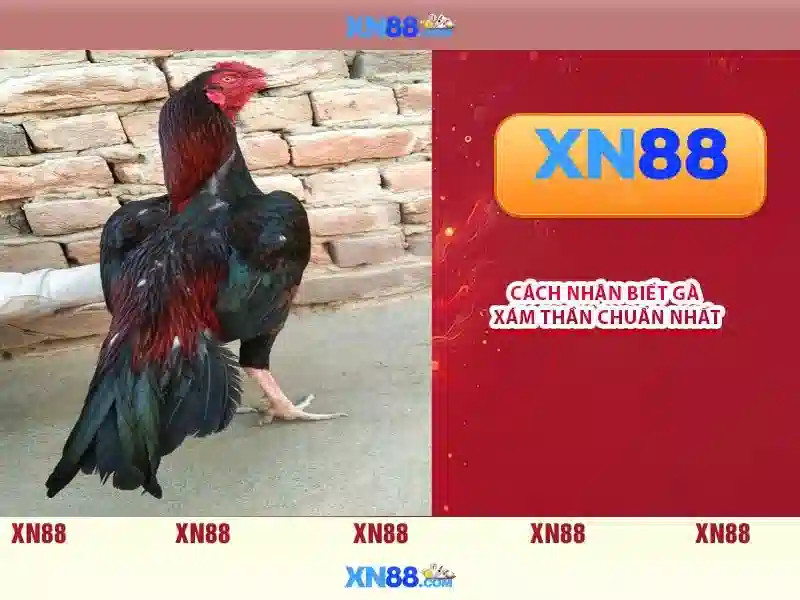 Hướng dẫn tham gia và nhận thưởng Hướng dẫn tham gia và nhận thưởng