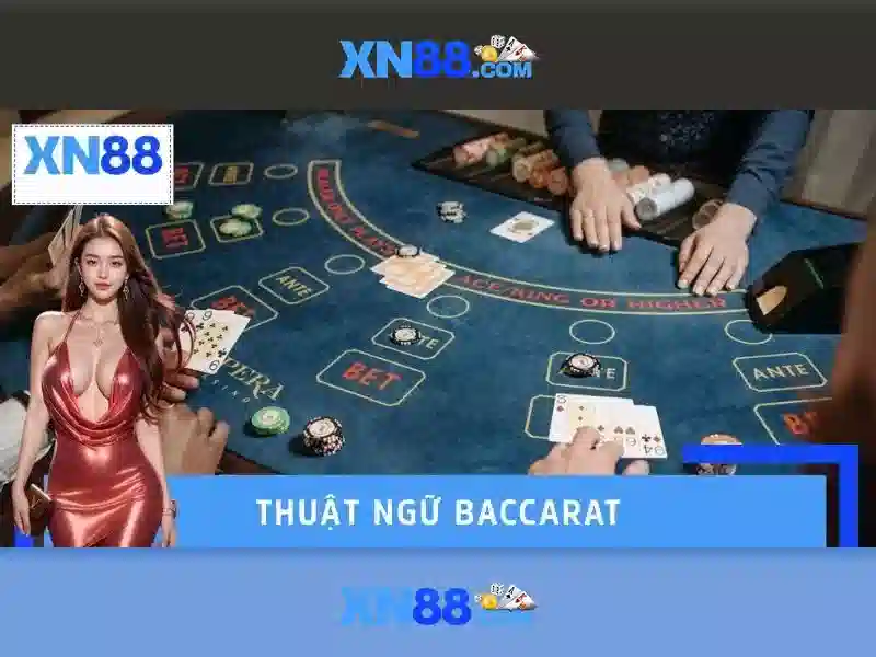 Trải nghiệm người dùng Trải nghiệm người dùng