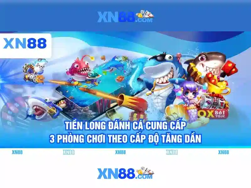 Giới thiệu về xn88