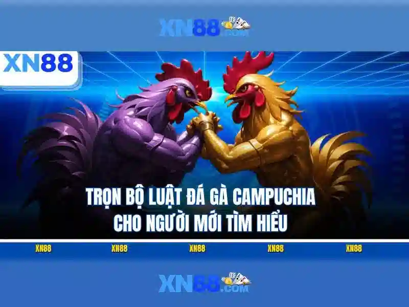 Xn88: Nền tảng cược trực tuyến phổ biến