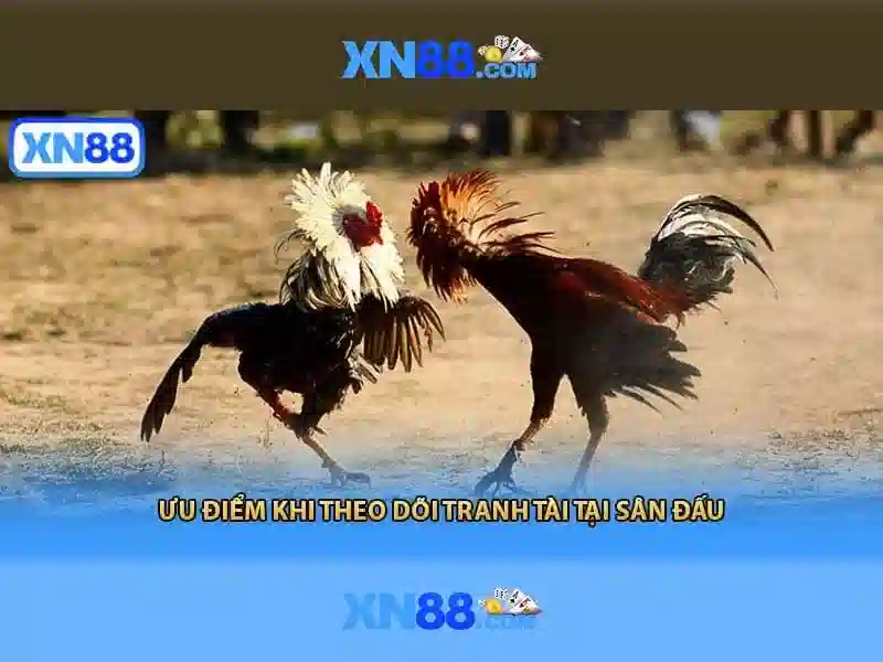 xn88 – Nền tảng giải trí hiện đại