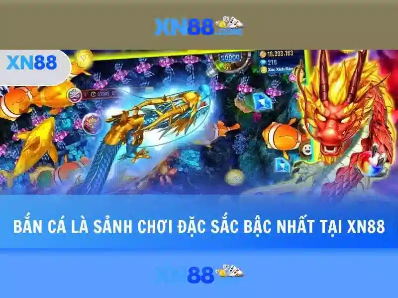 Nền tảng và dịch vụ