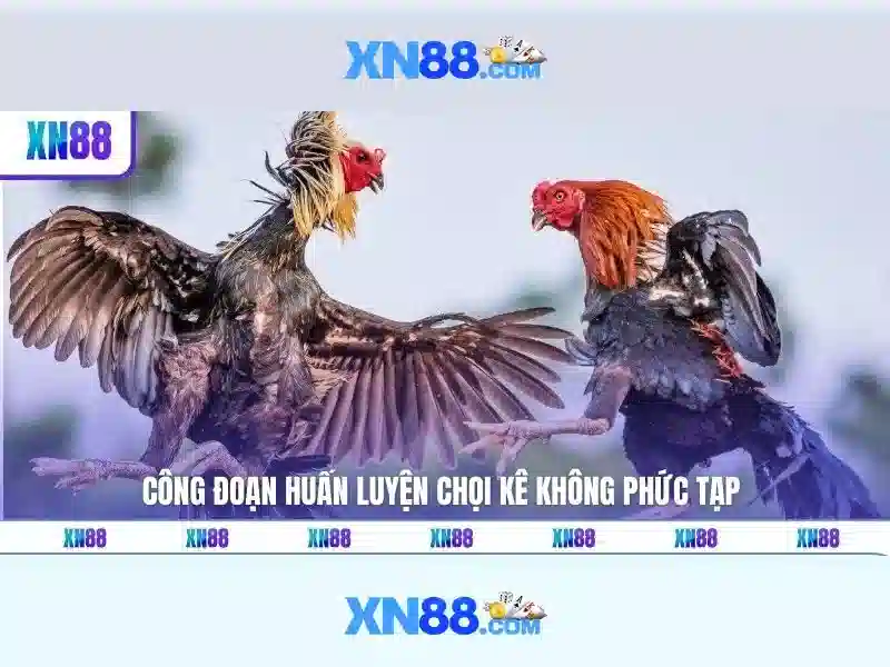 Kết luận