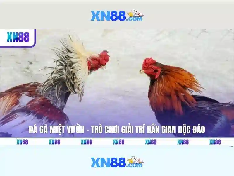 xn88 – Nền tảng giải trí hiện đại
