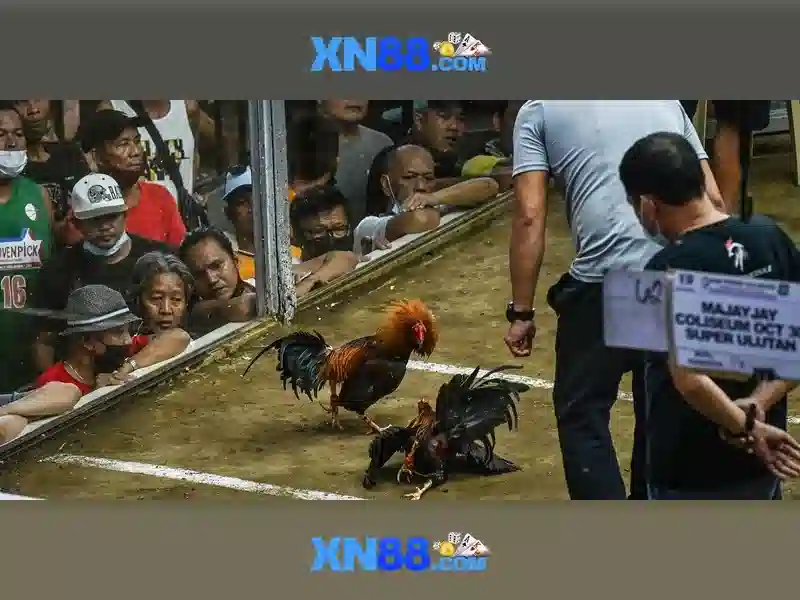 Giới thiệu về xn88 Giới thiệu về xn88