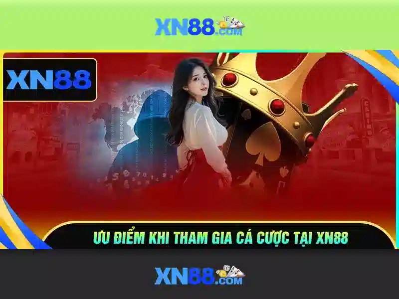 <!--IMG_PLACEHOLDER alt>Kết luận và khuyến nghị--> <!--IMG_PLACEHOLDER alt>Kết luận và khuyến nghị-->