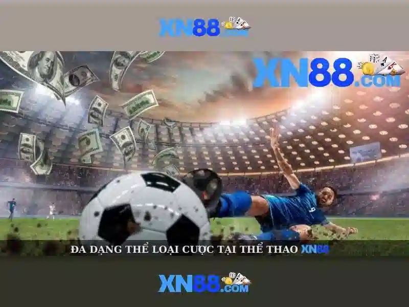 Hướng dẫn tham gia và lưu ý pháp lý