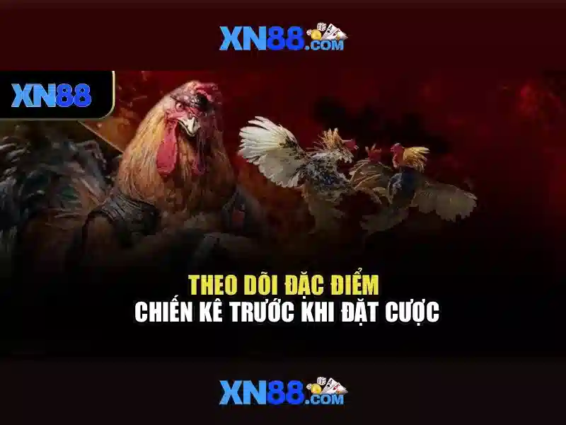 Giới thiệu xn88
