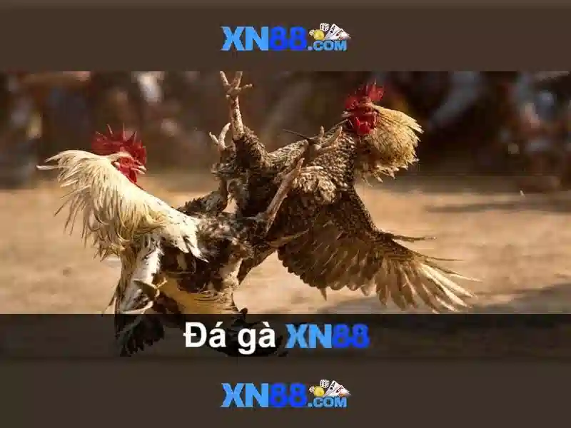 xn88: Tổng quan về nền tảng cá cược trực tuyến và đánh giá