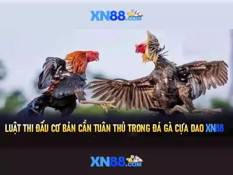 An toàn và thanh toán