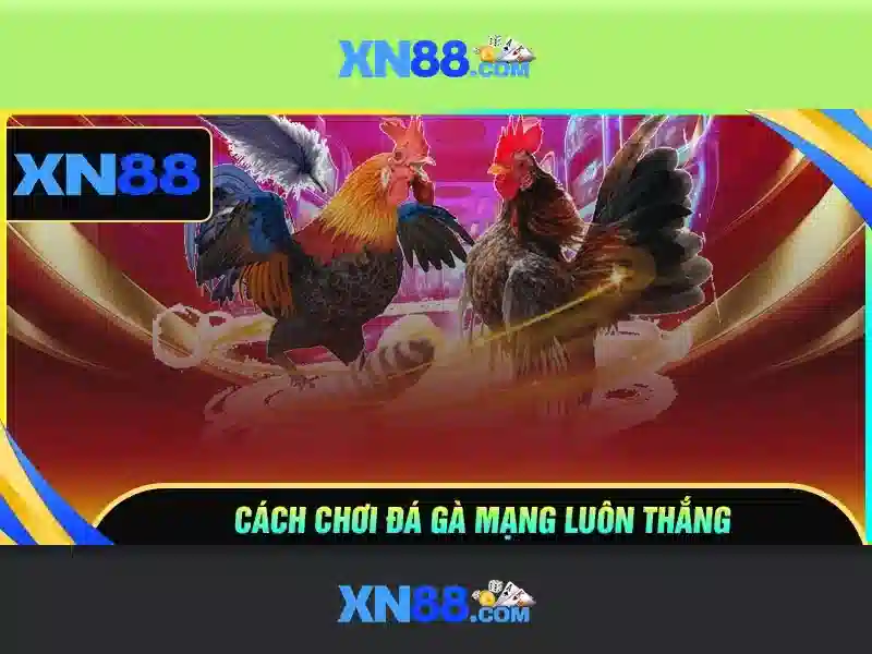 xn88 – Nền tảng trò chơi trực tuyến và hành trình đổi mới