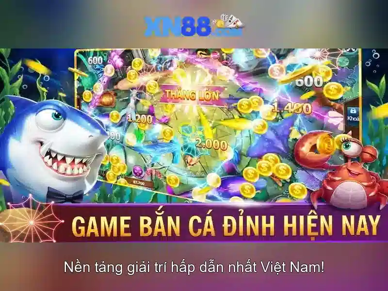 xn88: một cái nhìn tổng quan