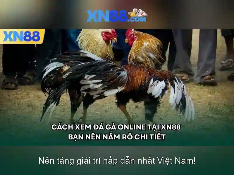 Giới thiệu về xn88 Giới thiệu về xn88