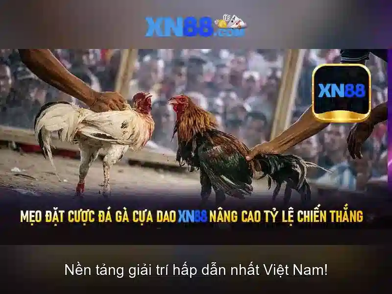 xn88: Cổng chơi game trực tuyến và những điều bạn cần biết