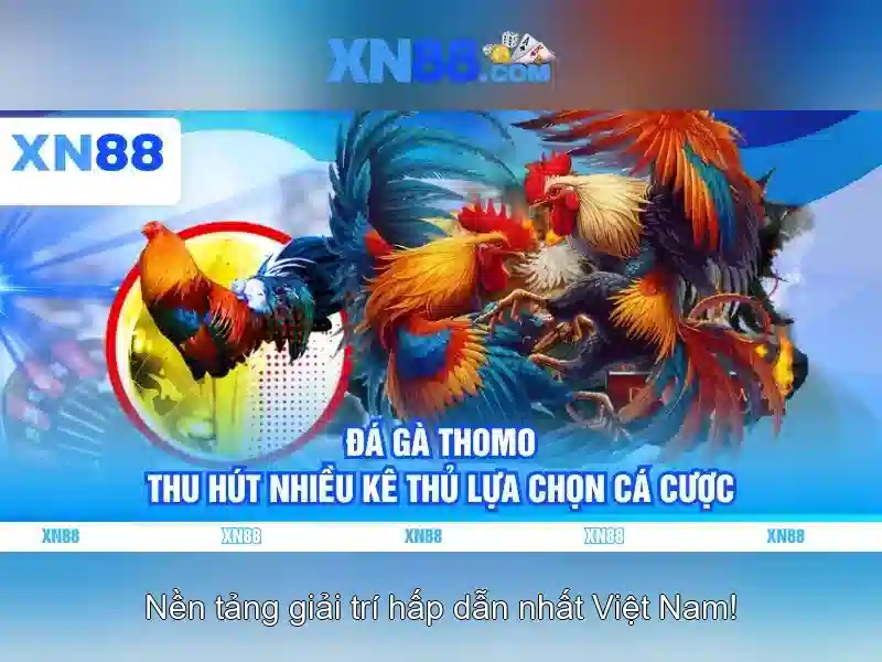 Lịch sử và uy tín