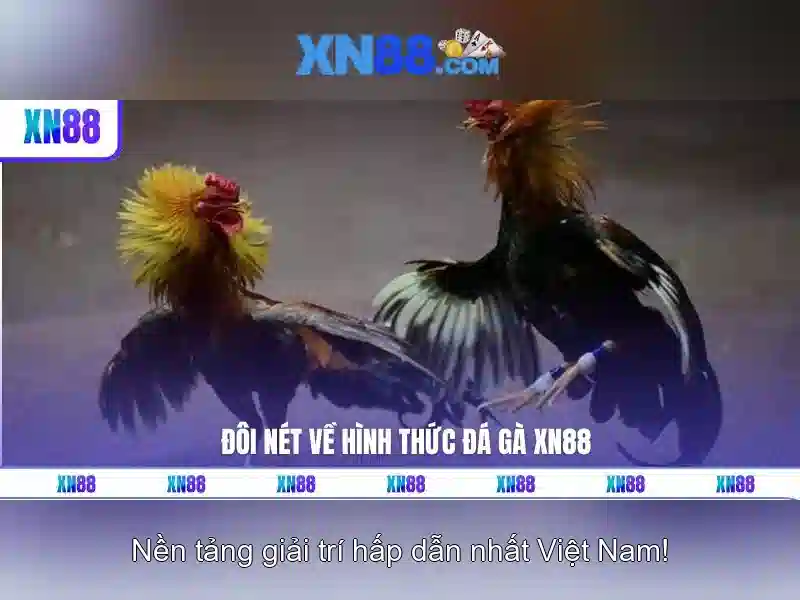 Xn88: Giới thiệu về nền tảng chơi trực tuyến