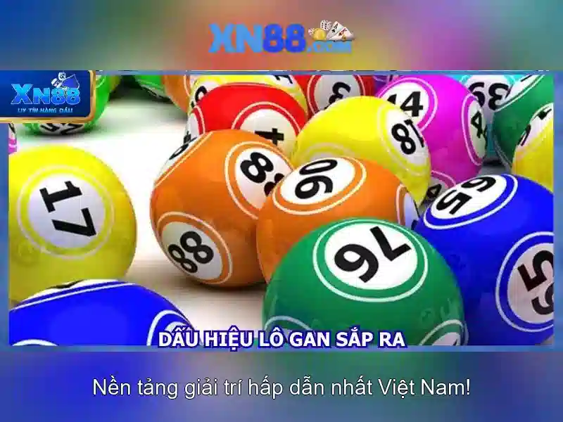 Nền tảng và trải nghiệm người dùng Nền tảng và trải nghiệm người dùng