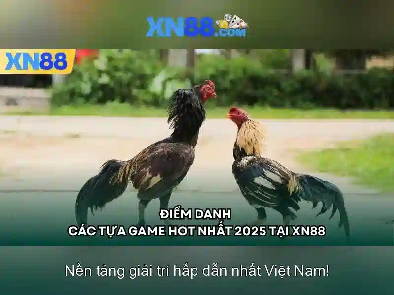 xn88: Tổng quan và khám phá