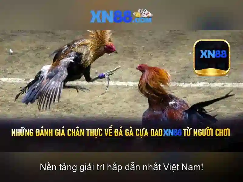 xn88: Nền tảng trò chơi và công nghệ đằng sau cộng đồng trực tuyến