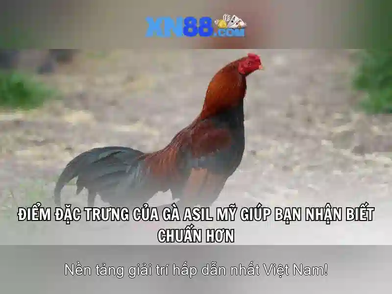 Giới thiệu về xn88 Giới thiệu về xn88