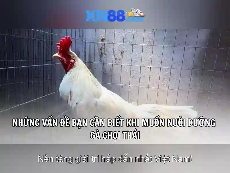 Giới thiệu về xn88 Giới thiệu về xn88