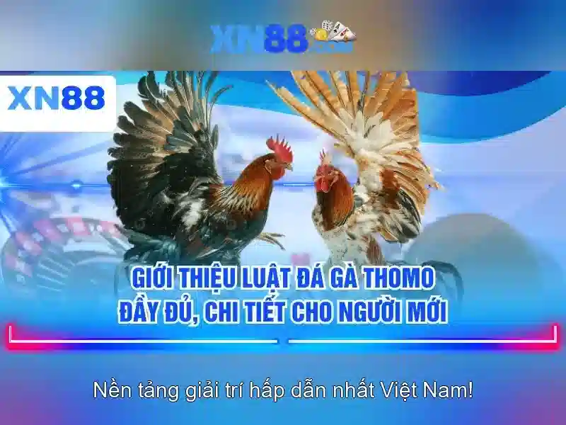 Danh mục trò chơi và thể thao mà xn88 cung cấp Danh mục trò chơi và thể thao mà xn88 cung cấp