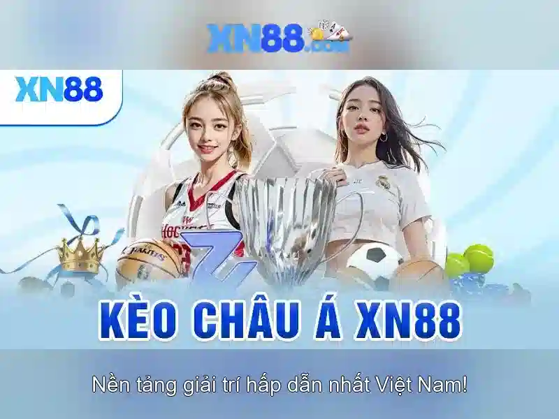 Trải nghiệm người dùng