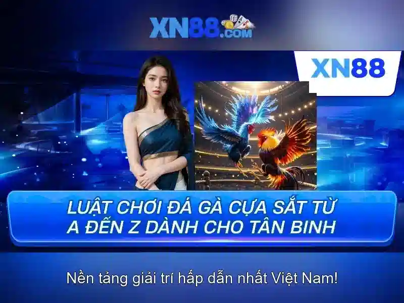 XN88 và thị trường XN88 và thị trường