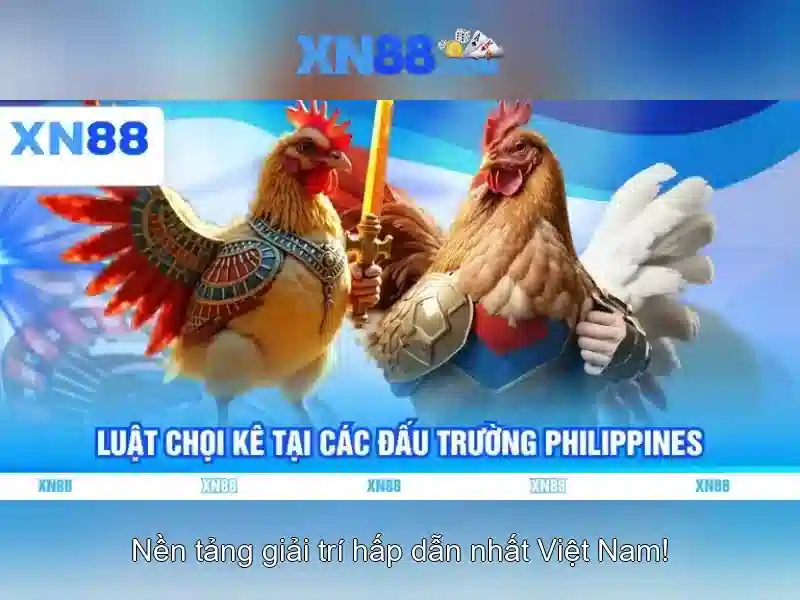 xn88 - Nền tảng trò chơi trực tuyến an toàn và giải trí