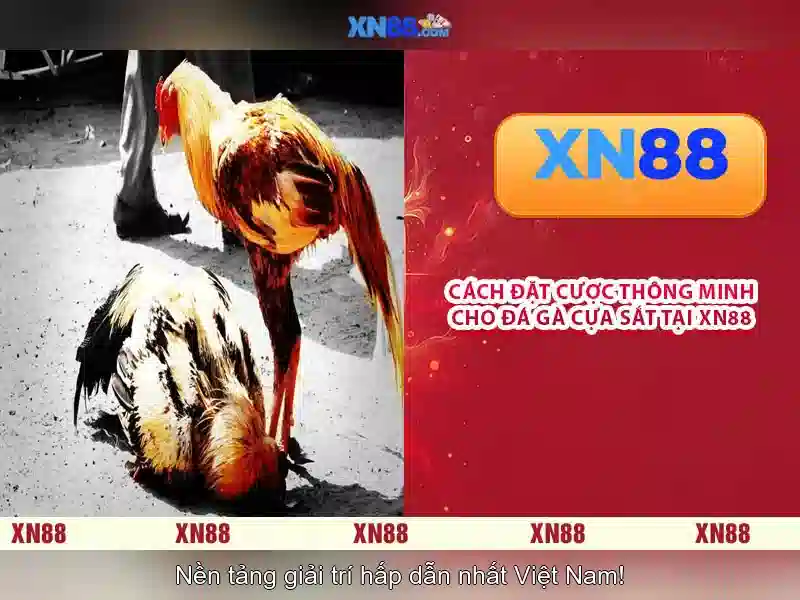 Các trò chơi nổi bật Các trò chơi nổi bật