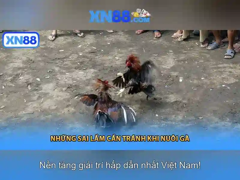 xn88: Nền tảng cá cược trực tuyến và đánh giá tổng quan