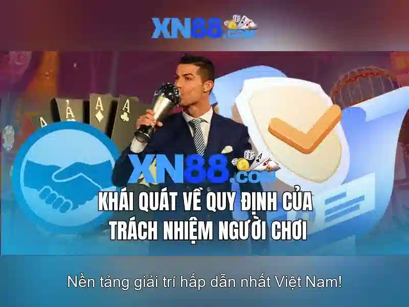 Đánh giá tổng quan về nền tảng Đánh giá tổng quan về nền tảng