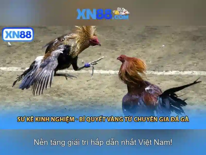 xn88 - Nền tảng giải trí trực tuyến đáng tin cậy