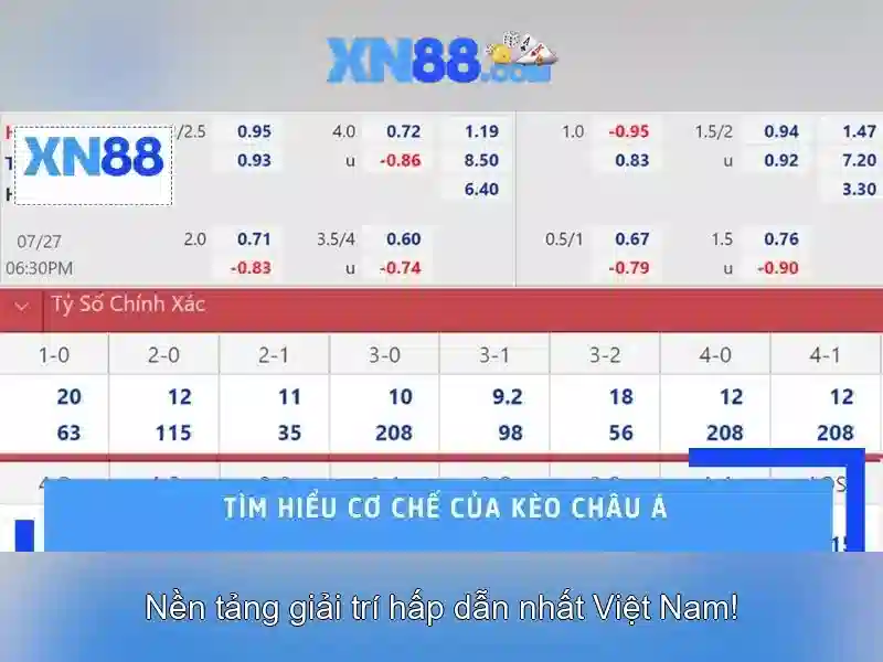 Cách chơi và trò chơi phổ biến Cách chơi và trò chơi phổ biến