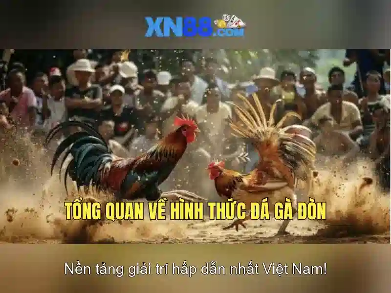 Giới thiệu về xn88