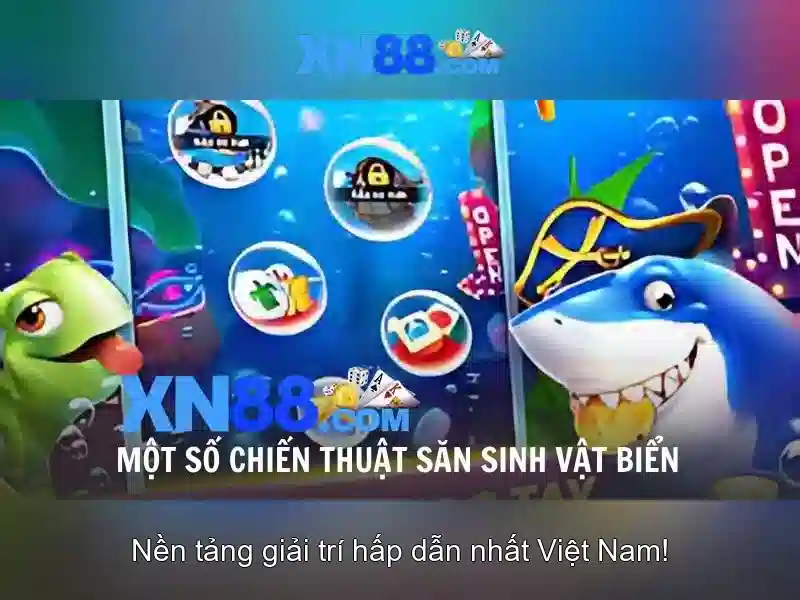 Gợi ý người chơi và lưu ý pháp lý