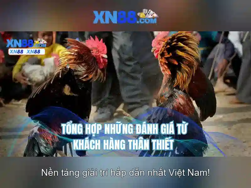 An toàn và lưu ý khi tham gia