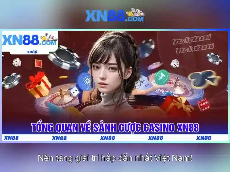 Cung cấp trò chơi và chất lượng trải nghiệm Cung cấp trò chơi và chất lượng trải nghiệm