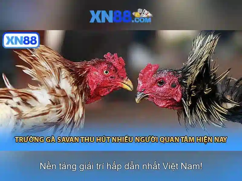 Lịch sử và động lực phát triển Lịch sử và động lực phát triển