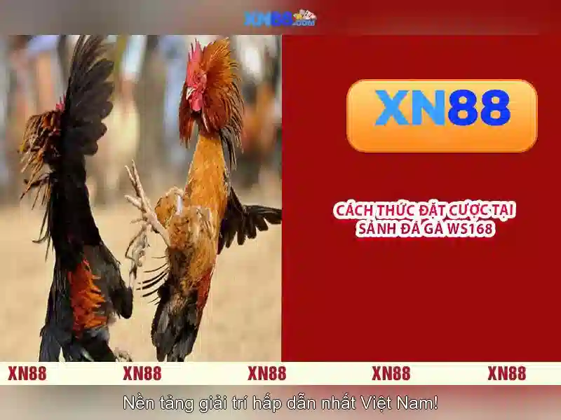 xn88: Tổng quan về nền tảng casino trực tuyến