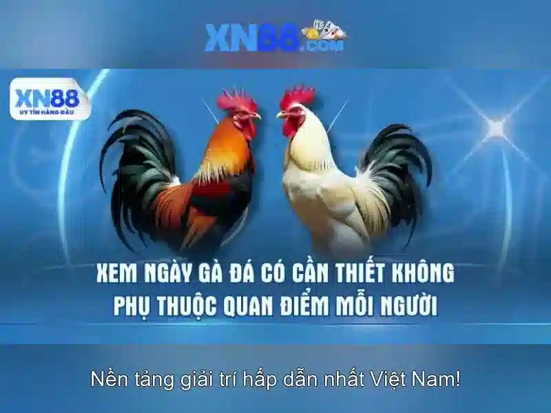 Ứng dụng của xn88 trong thực tiễn Ứng dụng của xn88 trong thực tiễn