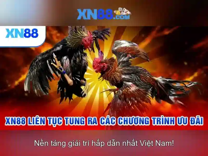 Giới thiệu về xn88 Giới thiệu về xn88
