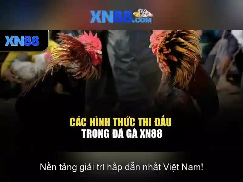 thong-bao-dang-nhap-6