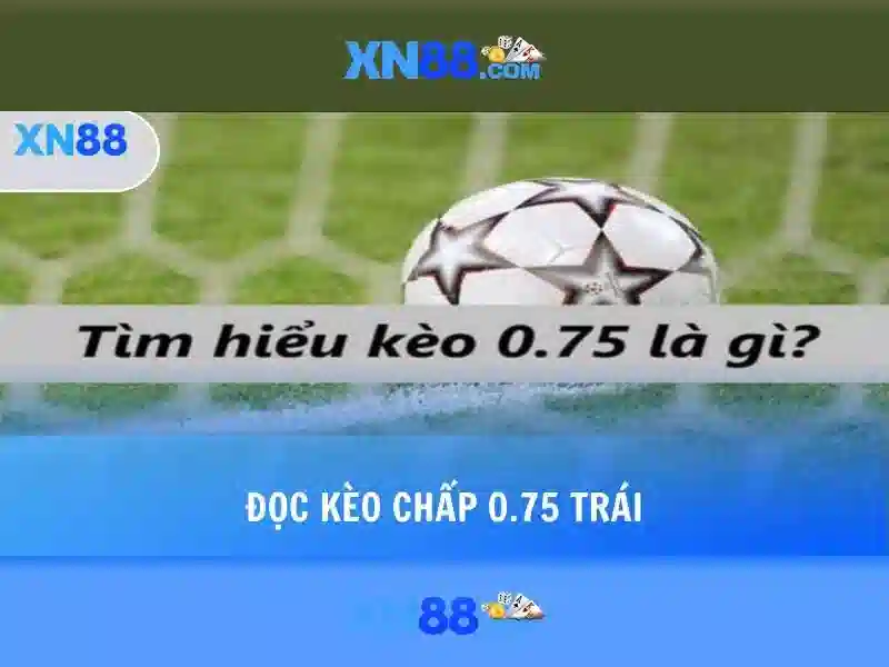 Tìm hiểu cơ bản các loại tỷ lệ trả thưởng